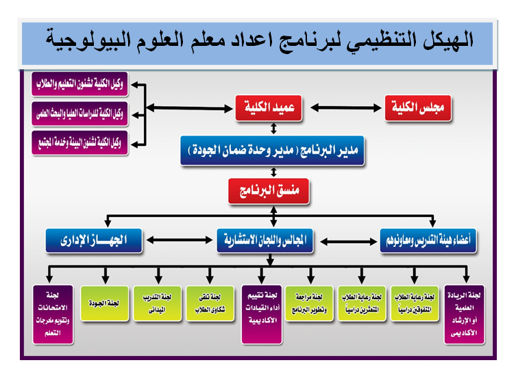 الهيكل_التنظيمي_للعلوم_البيولوجية.png