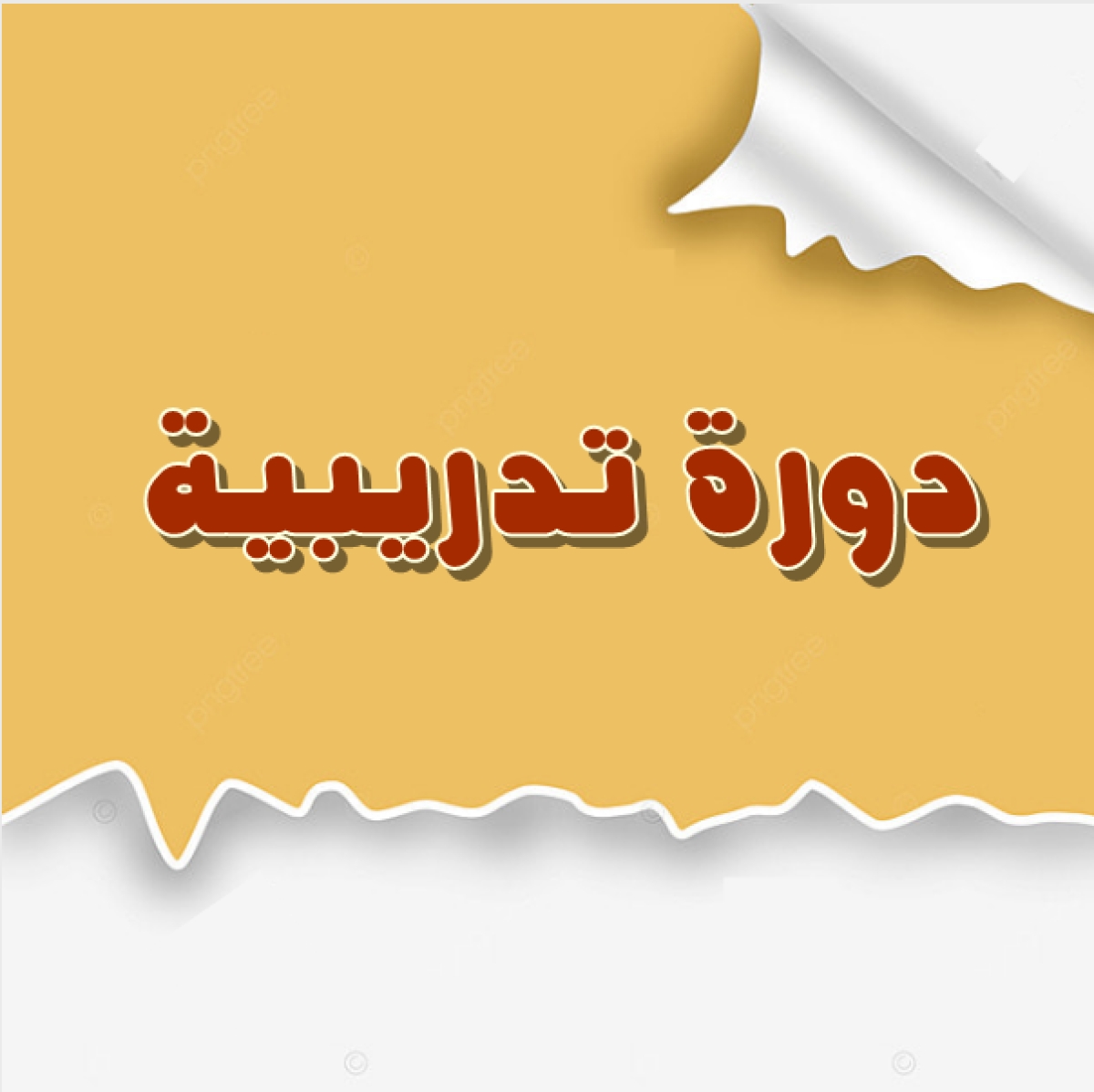 فعاليات دورة تدريس العلوم والرياضيات باللغة الإنجليزية (المستوى الأول)